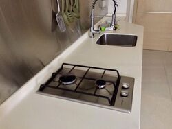 Spring @ Langsat (D15), Apartment #477274801